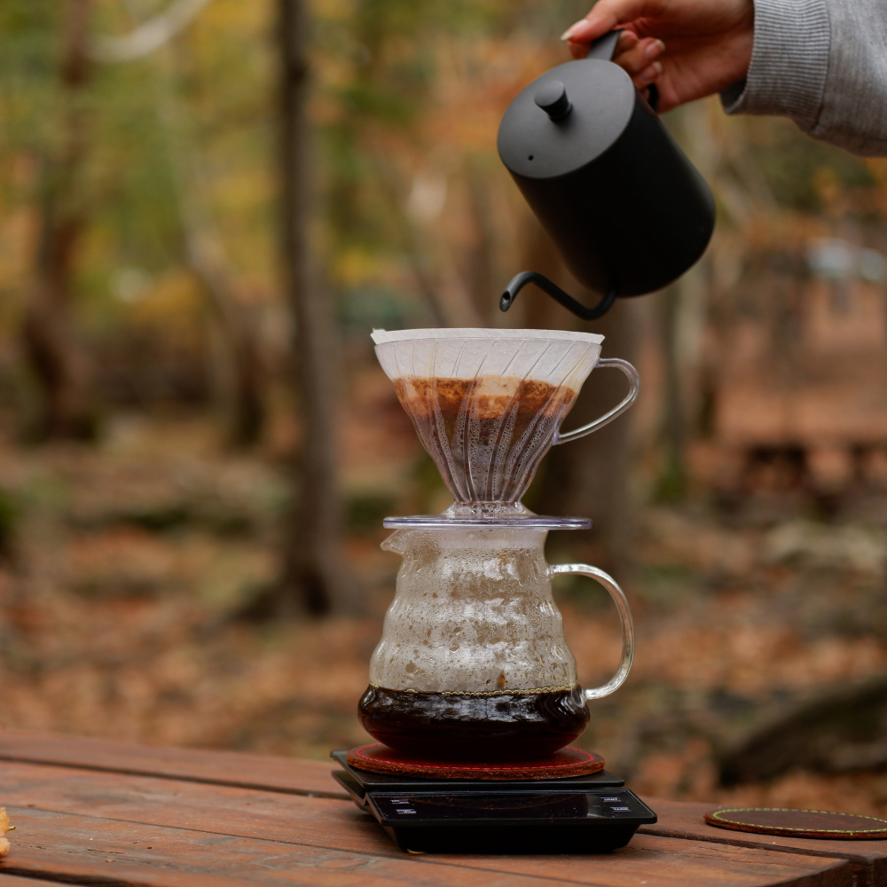 Ground Coffee | Lions Mane & Chaga