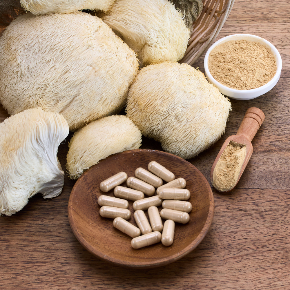 Lion's Mane Mushroom